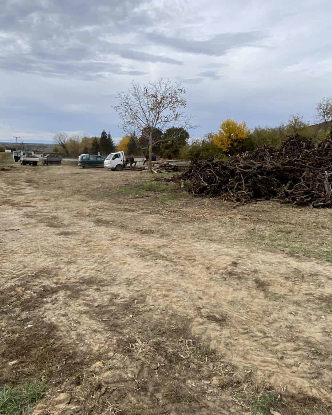 pincészetünk új fehérszőlő-ültetvényeket telepít2